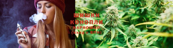 сатива Козельск