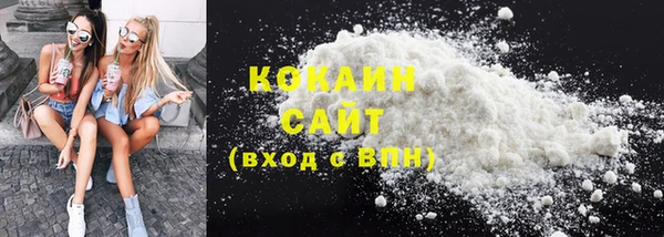 гидра Коряжма