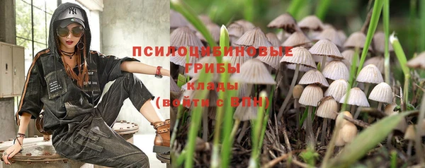 jwh Корсаков
