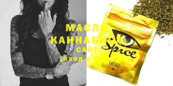 гидра Коряжма